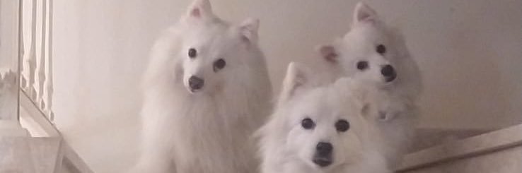 crackoonz's profile banner image