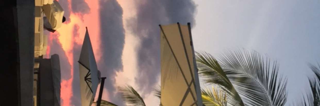 nicky banner