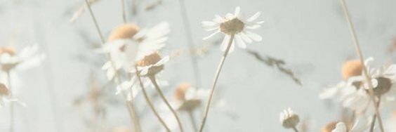 LuXeriene's profile banner image