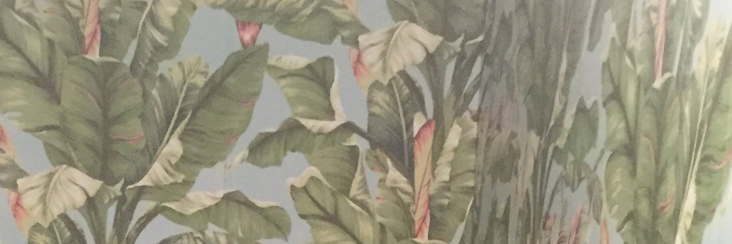 lchang8's profile banner image