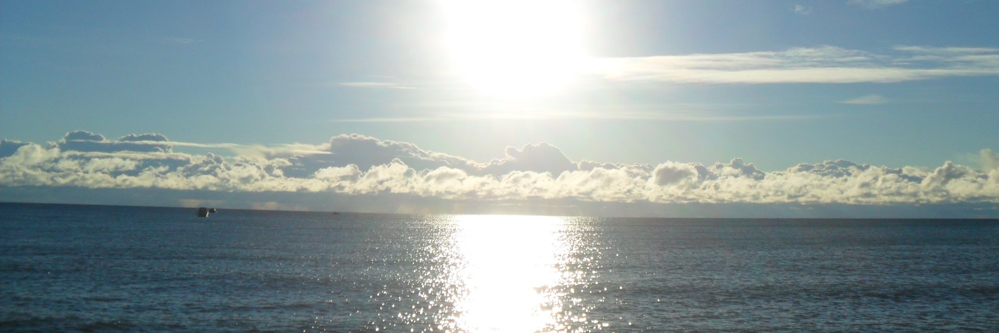 VegaDelight's profile banner image