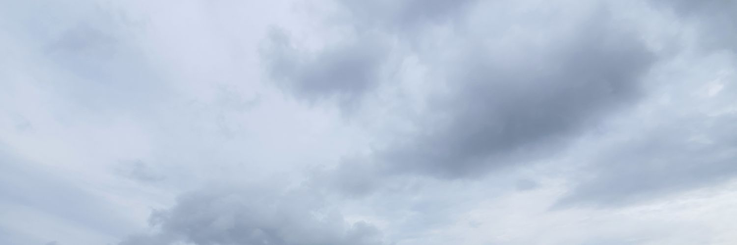 LeuchSilva's profile banner image