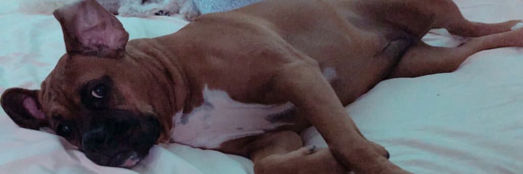 ohheyycailee's profile banner image