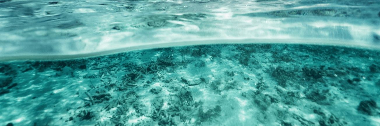 NEUTRINAX's profile banner image
