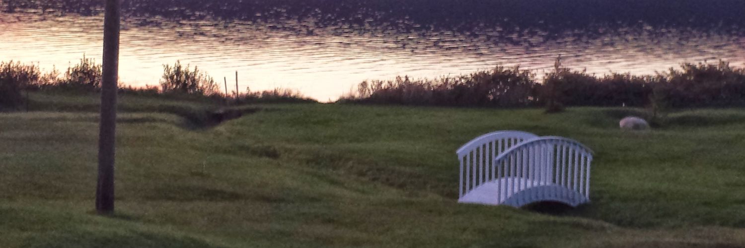 PierceCollierNL's profile banner image