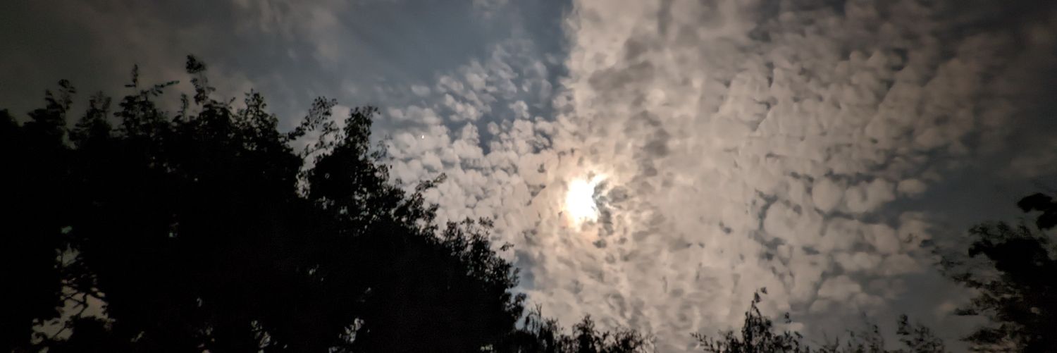 samosajeevi's profile banner image