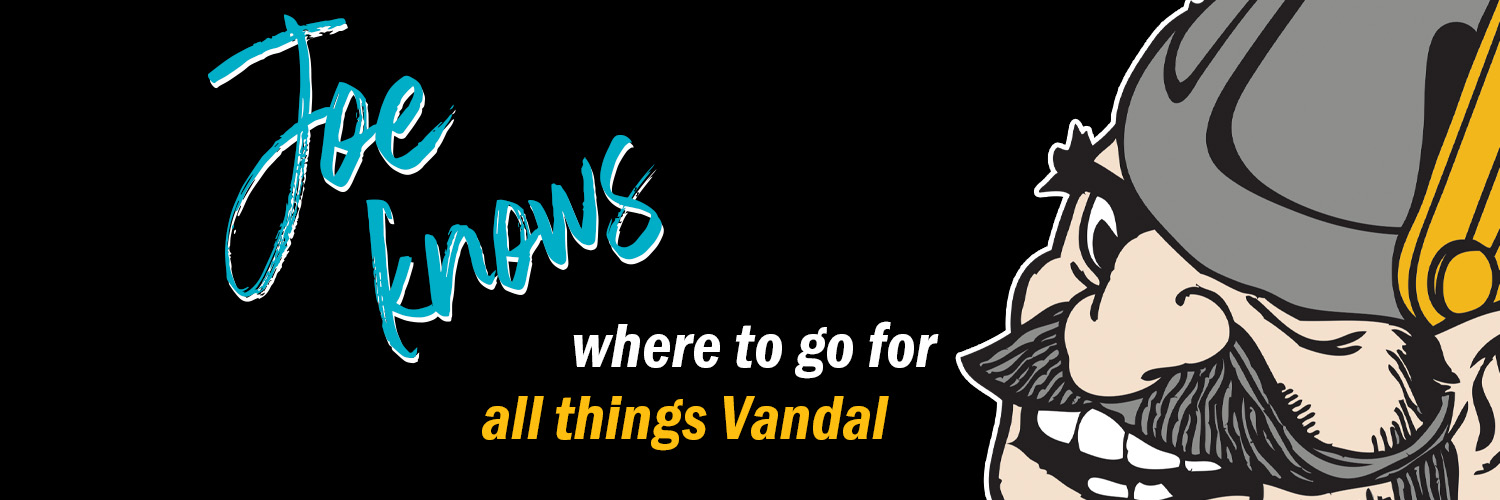 VandalStore banner