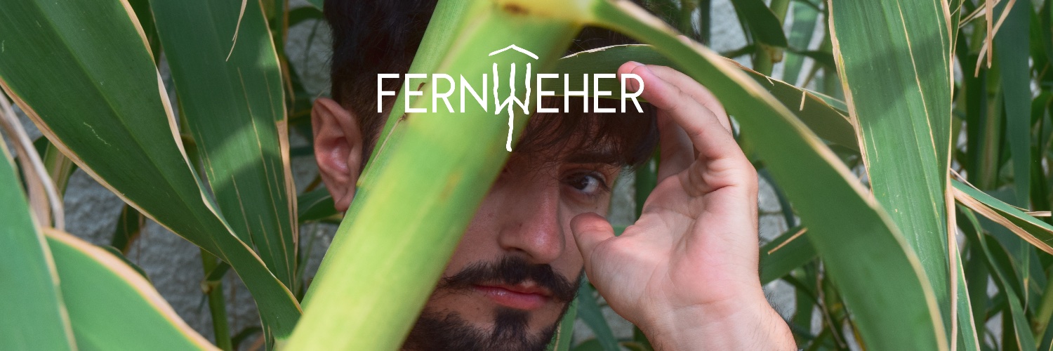 Fernweher banner