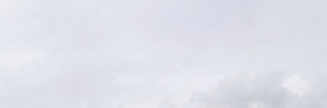 nepuluz's profile banner image