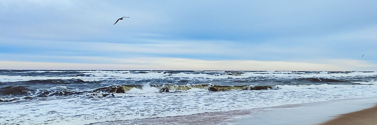 phcapseva's profile banner image