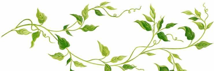 GraceCarrubba's profile banner image