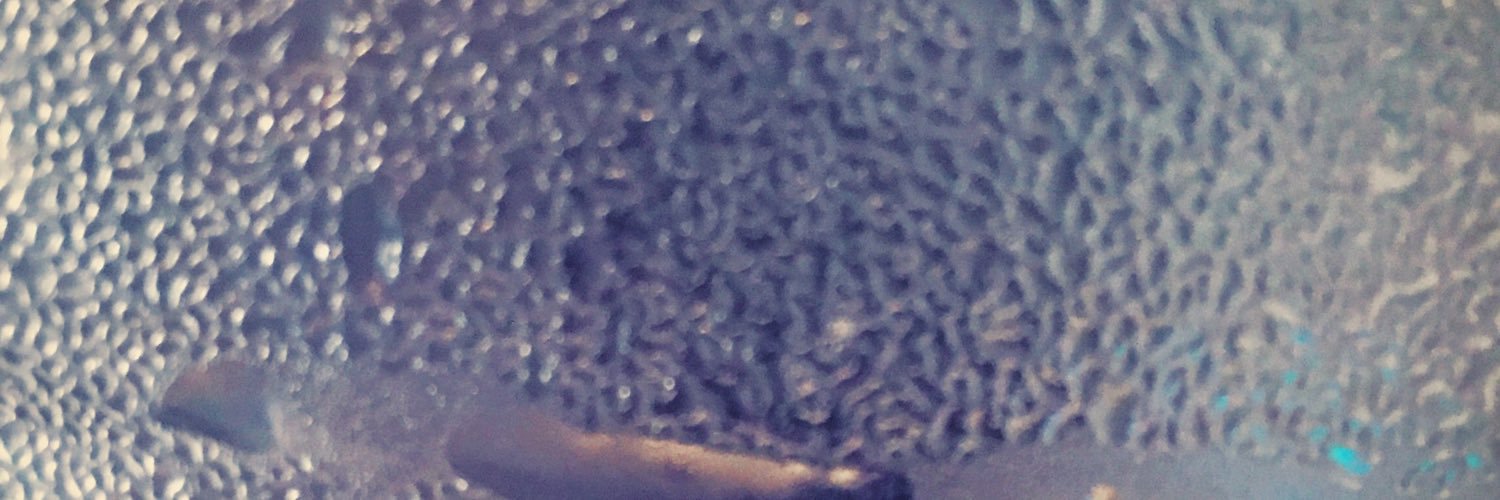 NicMelo's profile banner image