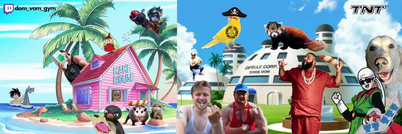 dom aka saiyaman (unhinged shitpost era)'s banner