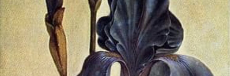 annabushm's profile banner image