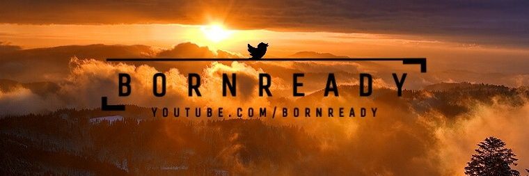 bornready banner