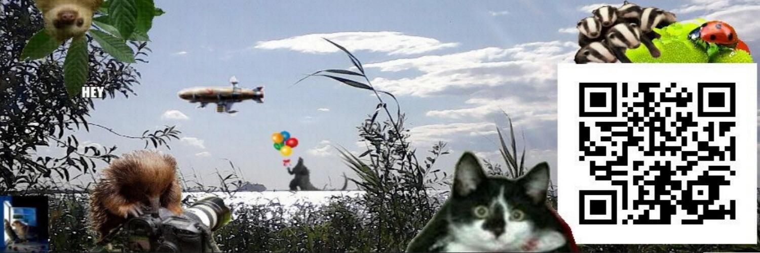 VMVThere's profile banner image