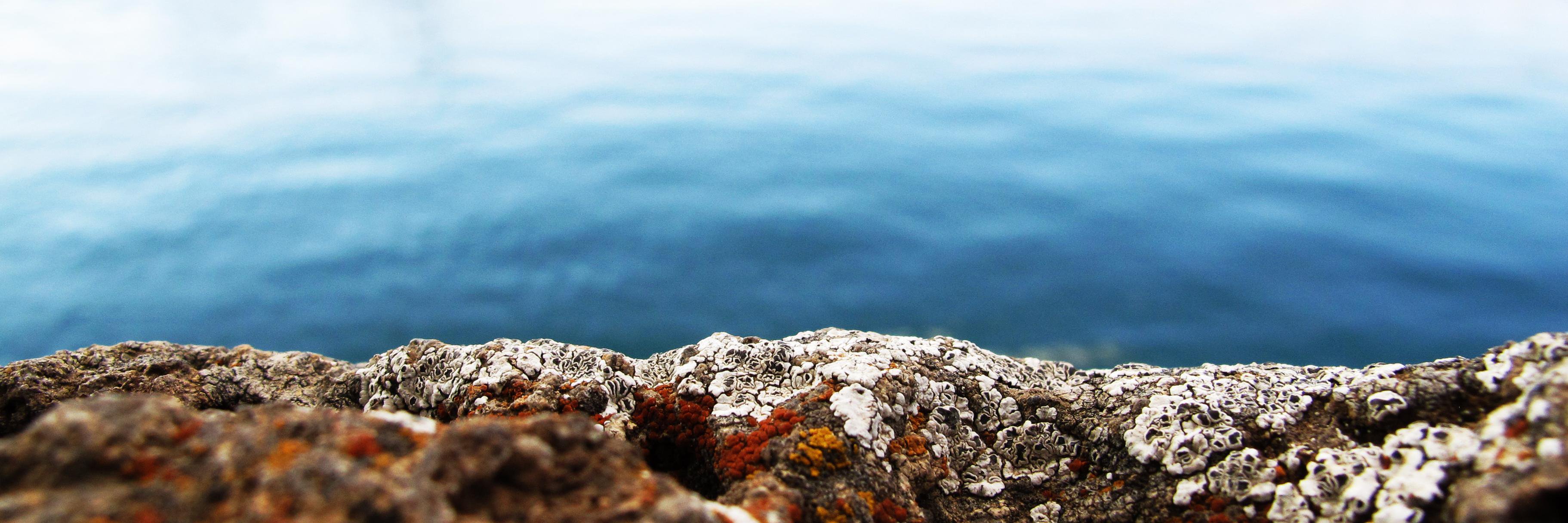 ArminIsarian's profile banner image