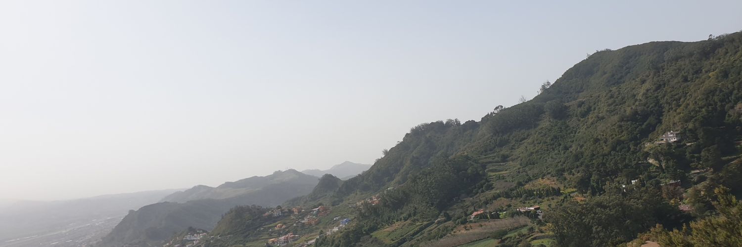 Delmis Moreno banner