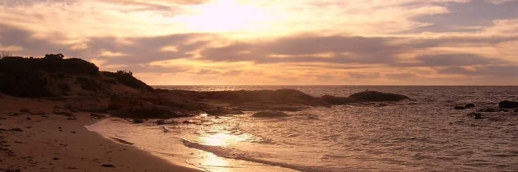 OceansTide's profile banner image
