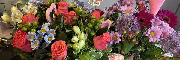 Gerty2000vlts Profile Banner