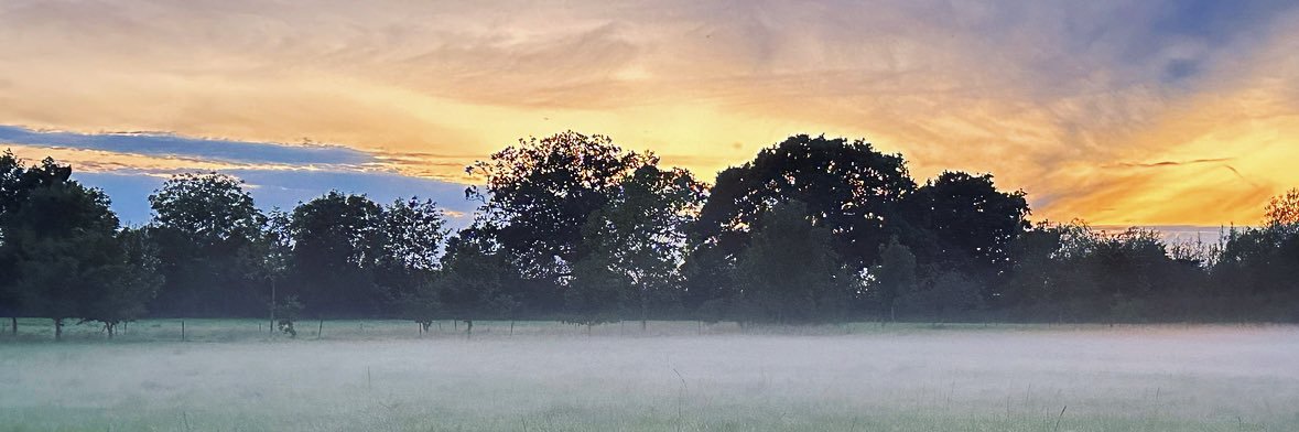 Imogen Smith banner