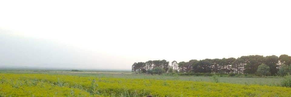 rrkhas's profile banner image