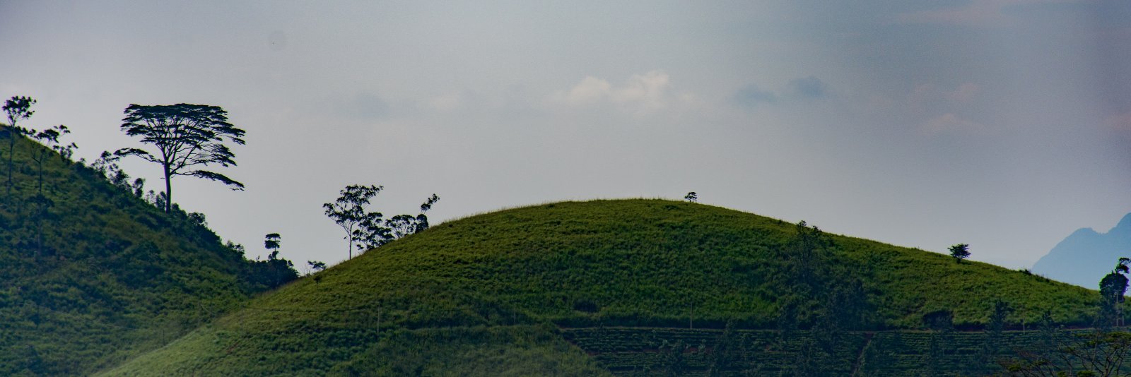 exploreslk's profile banner image