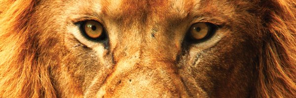 DaRifRaf Profile Banner
