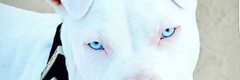 VicttorManuel7's profile banner image