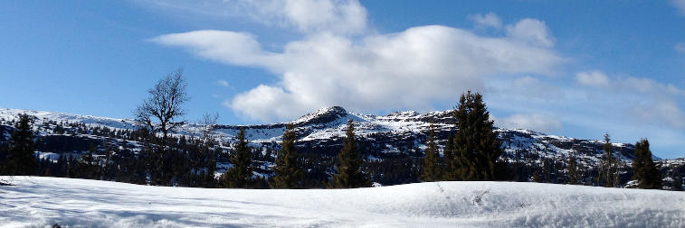 Christian Rosnes banner