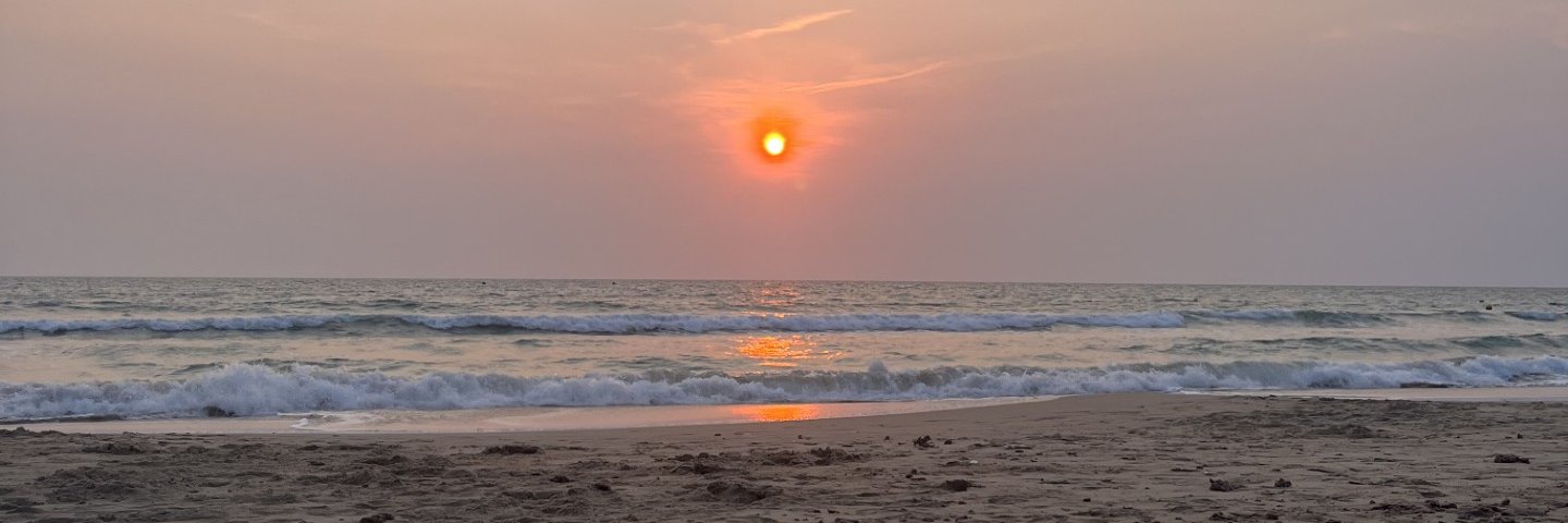 Danipadi16's profile banner image