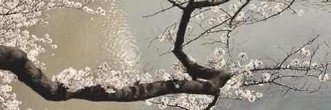 Minjteong's profile banner image