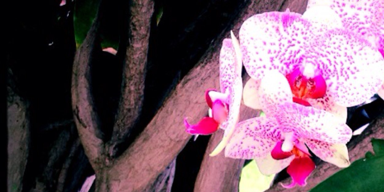ZahParuk's profile banner image