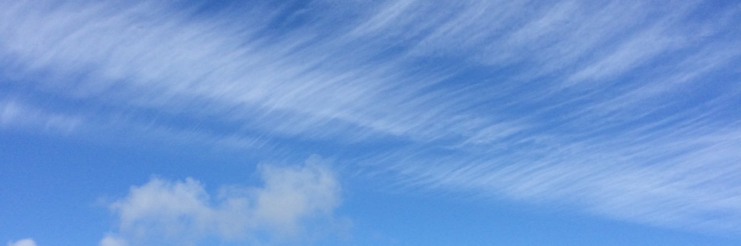 Jane Atkinson banner