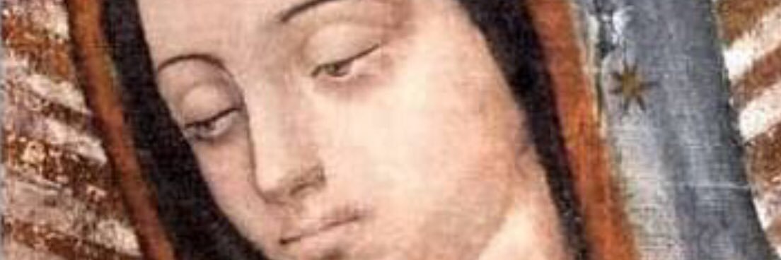Ofelia7's profile banner image