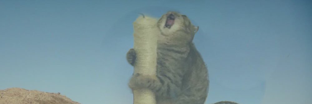 LoganBraddy's profile banner image