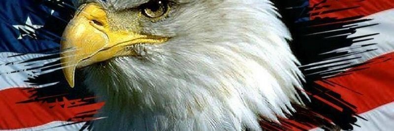 Freedom258 🙏 🗣🗣🇺🇸 banner