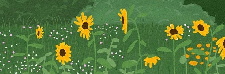 ddreamiee's profile banner image