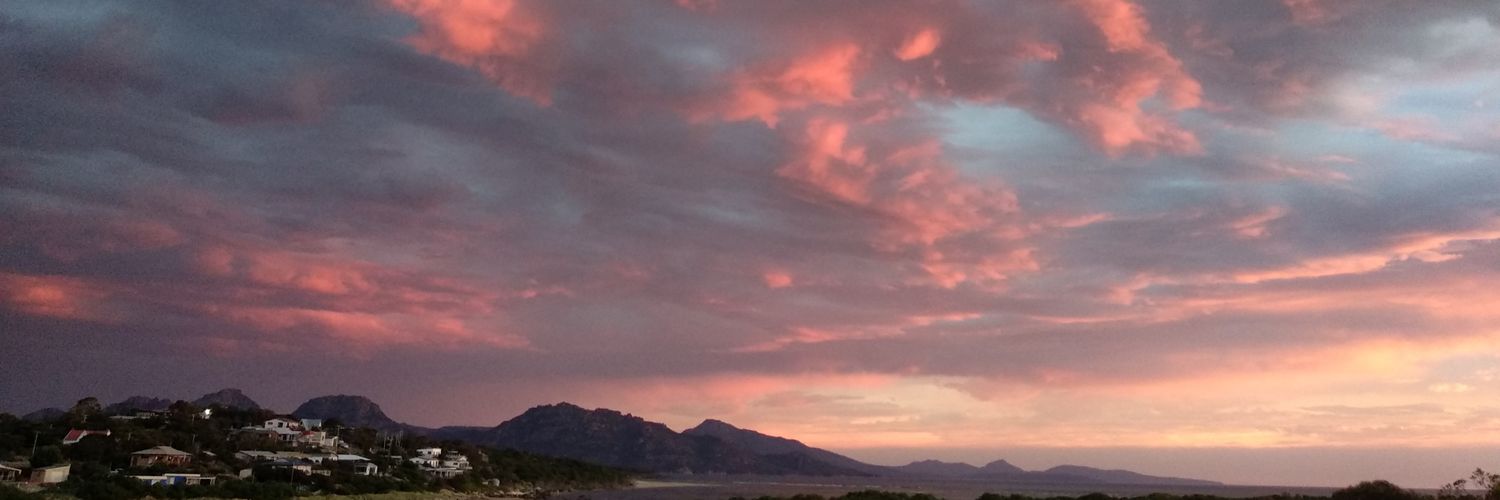 LisaJane banner