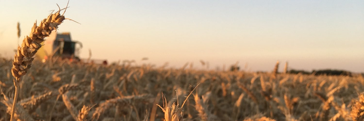 Nonoskovitch's profile banner image