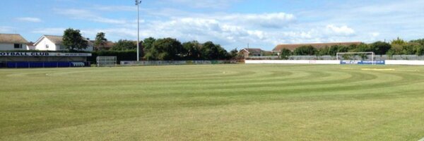 SelseyFC Profile Banner