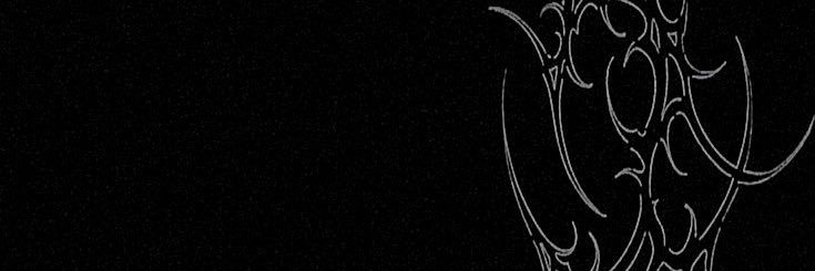 R banner