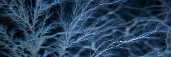 cancerphysicist Profile Banner
