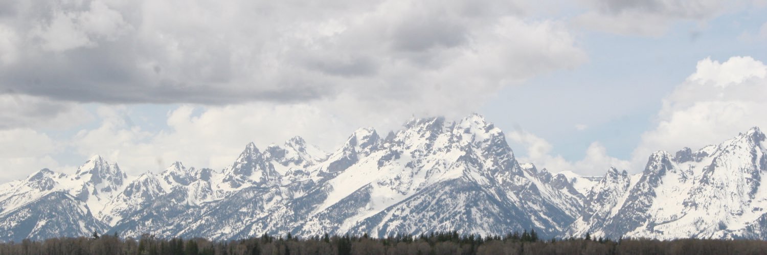 alisummersdee's profile banner image
