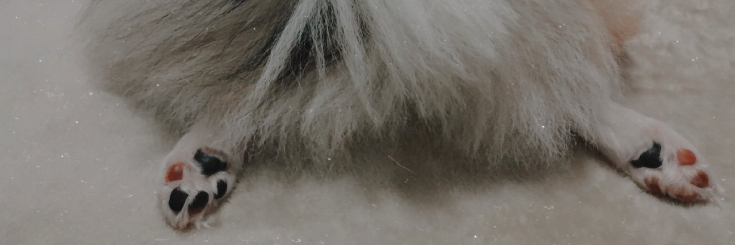 camimores's profile banner image