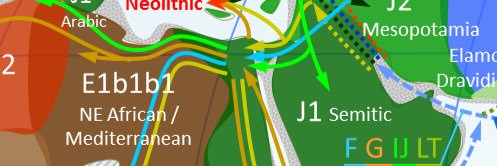 DNA السلالات العربية banner