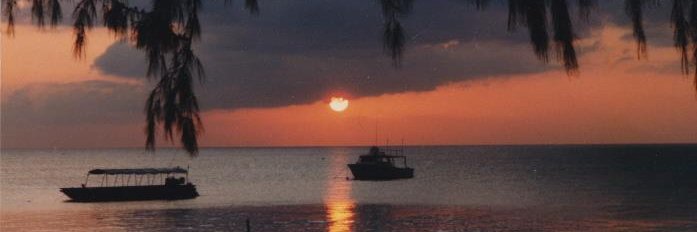 lkmark's profile banner image
