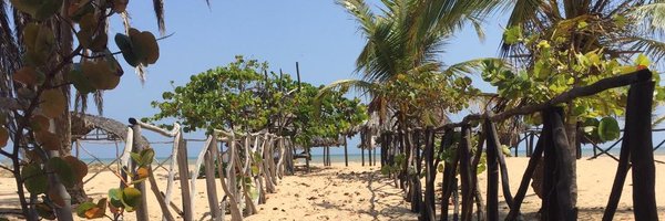 InesMP Profile Banner