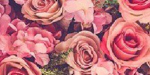 Cintiapaula362's profile banner image
