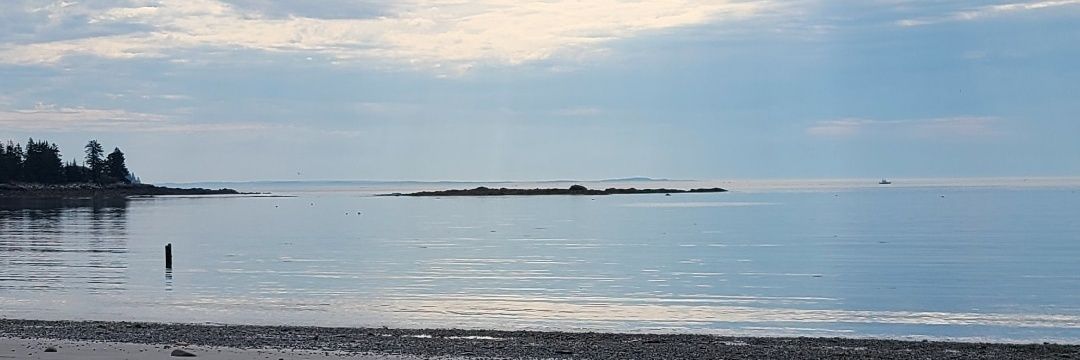 Mother_Mermaid_'s profile banner image